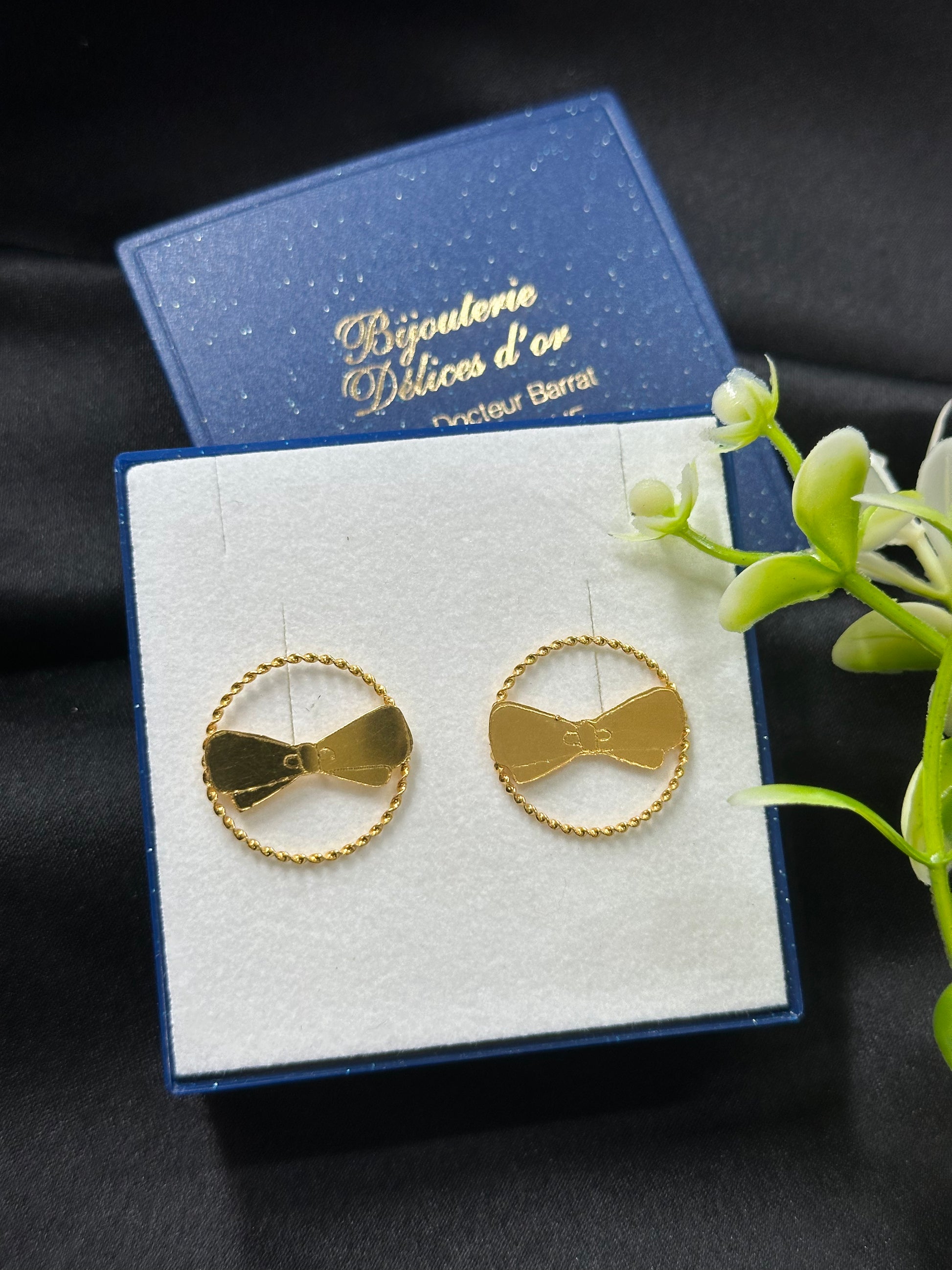 Boucle d'oreille Eden-Park