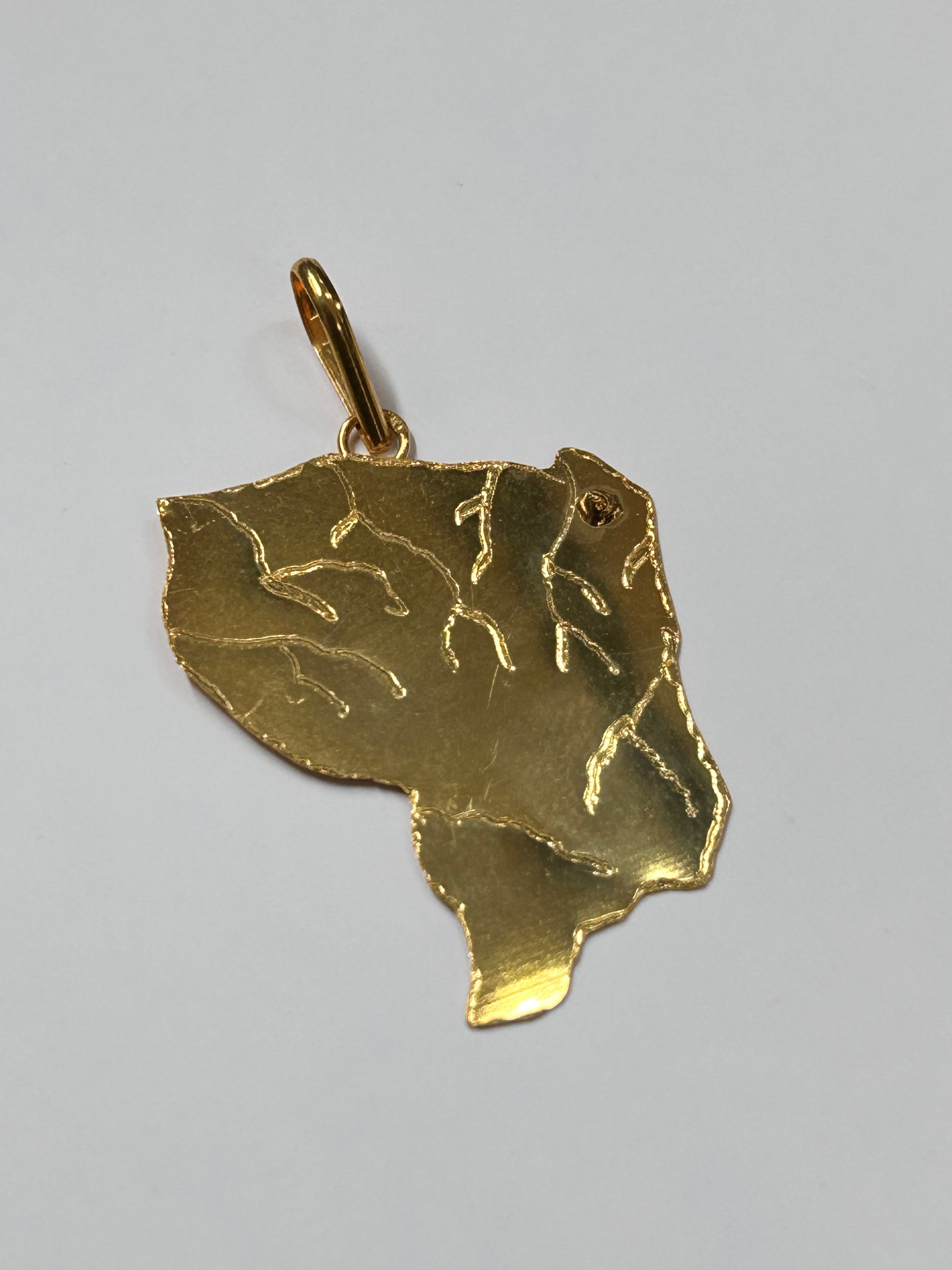 Pendentif carte de la Guyane sans le cercle