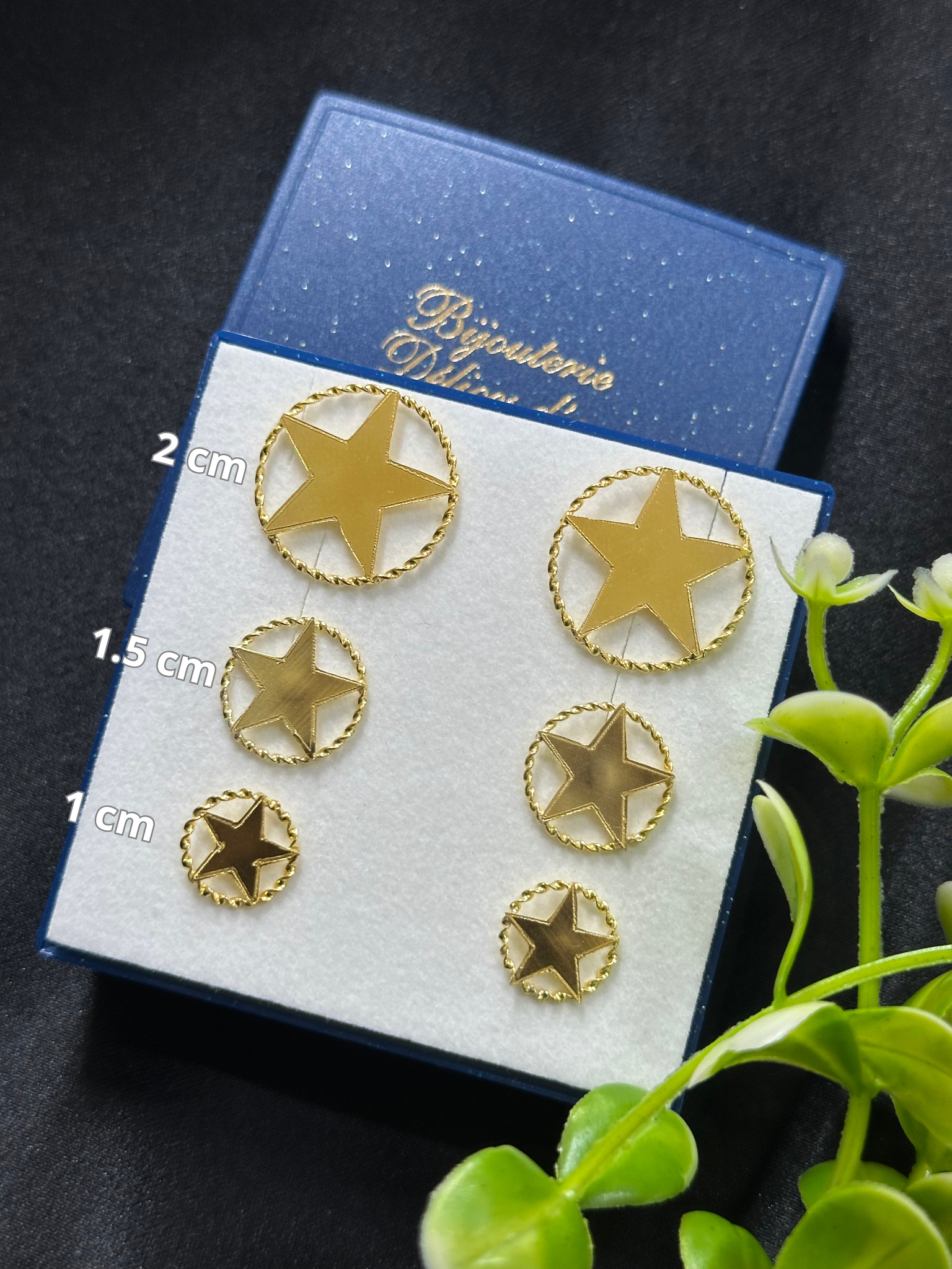 Boucle d'oreille Etoile