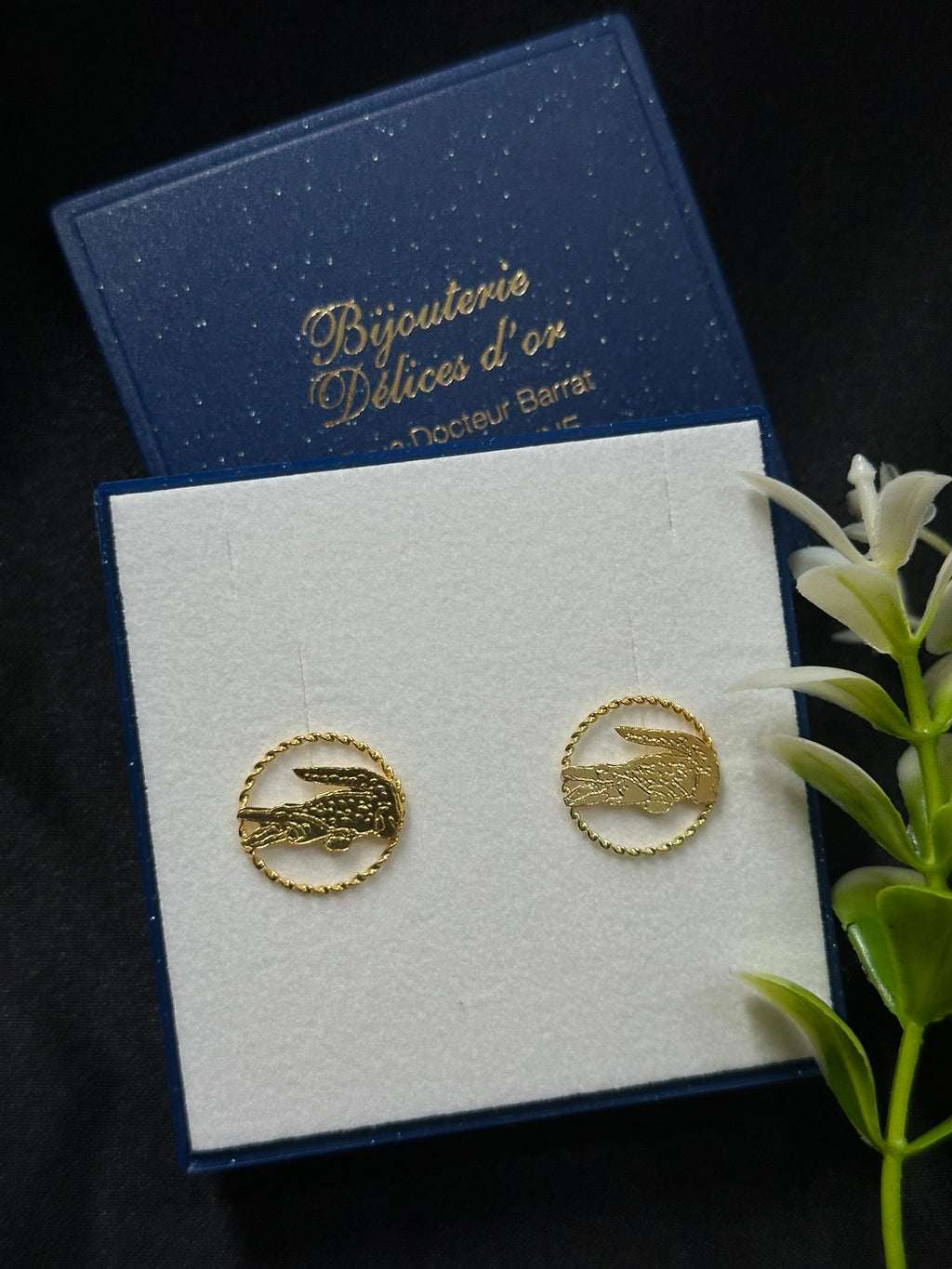 Boucle d'oreille Lacoste