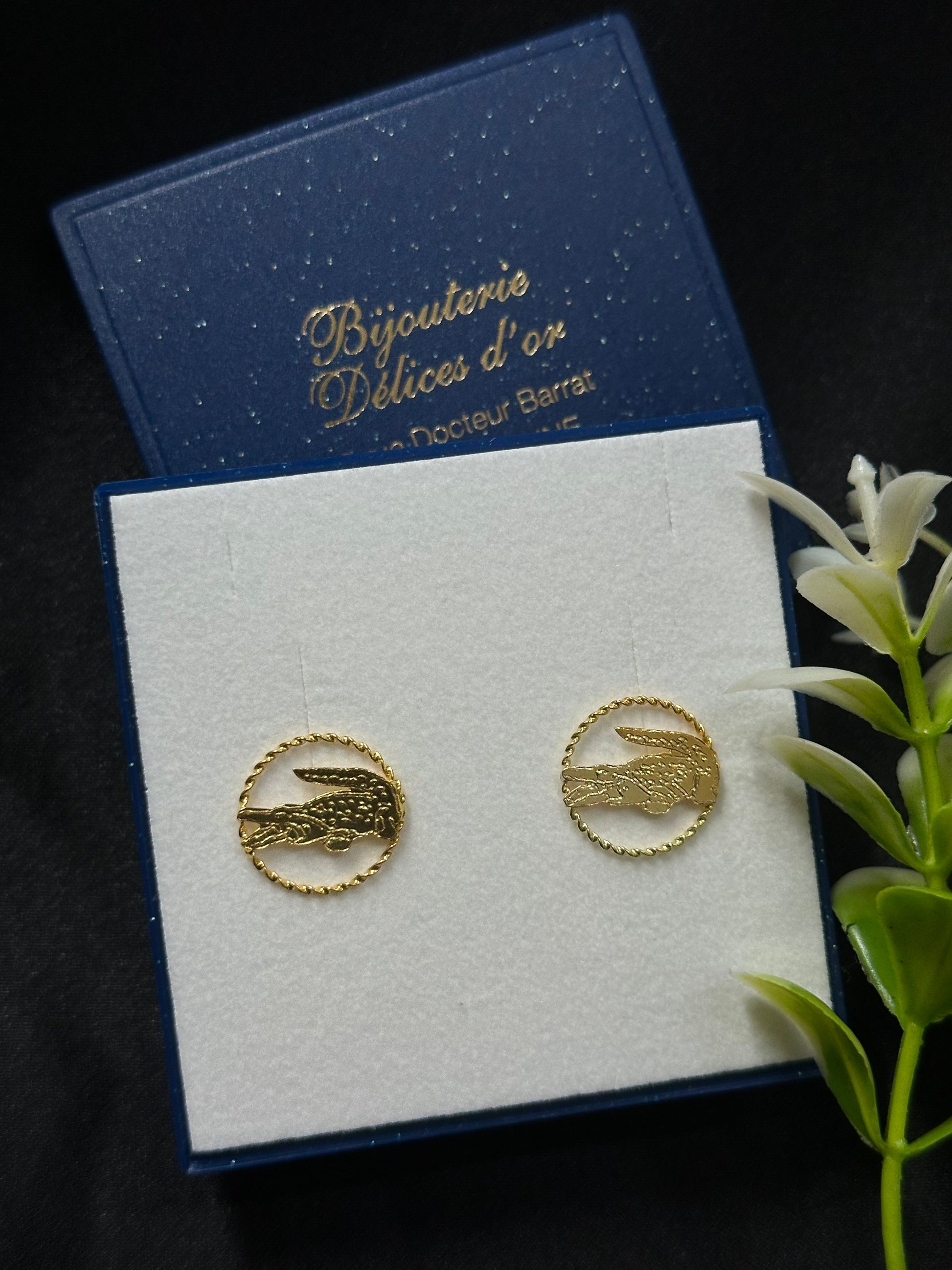 Boucle d'oreille Lacoste
