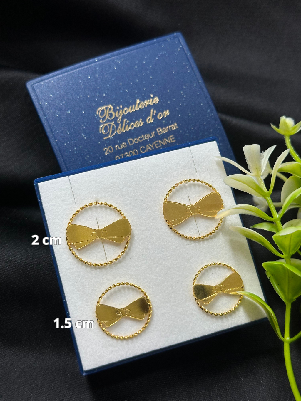 Boucle d'oreille Eden-Park