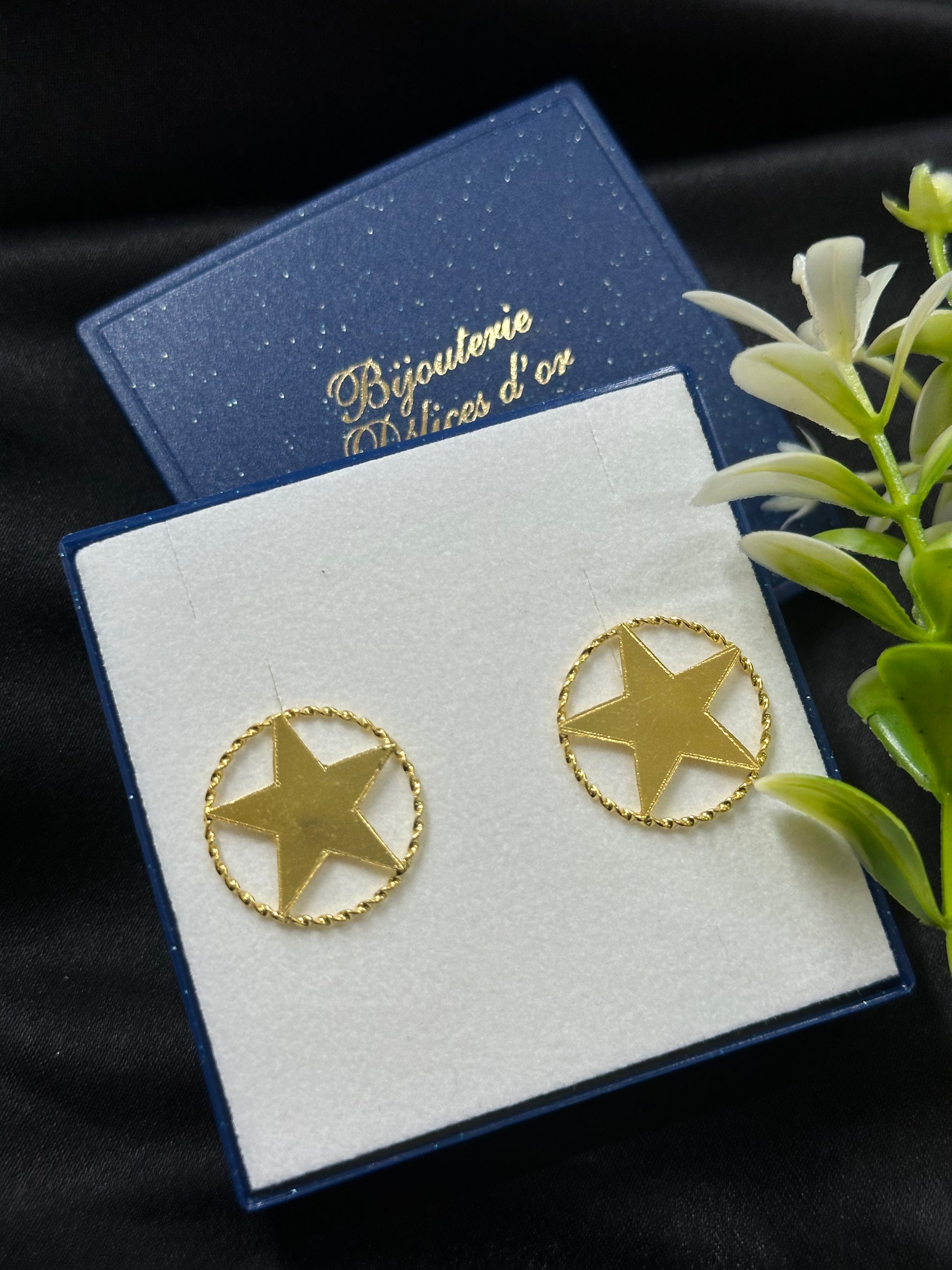 Boucle d'oreille Etoile