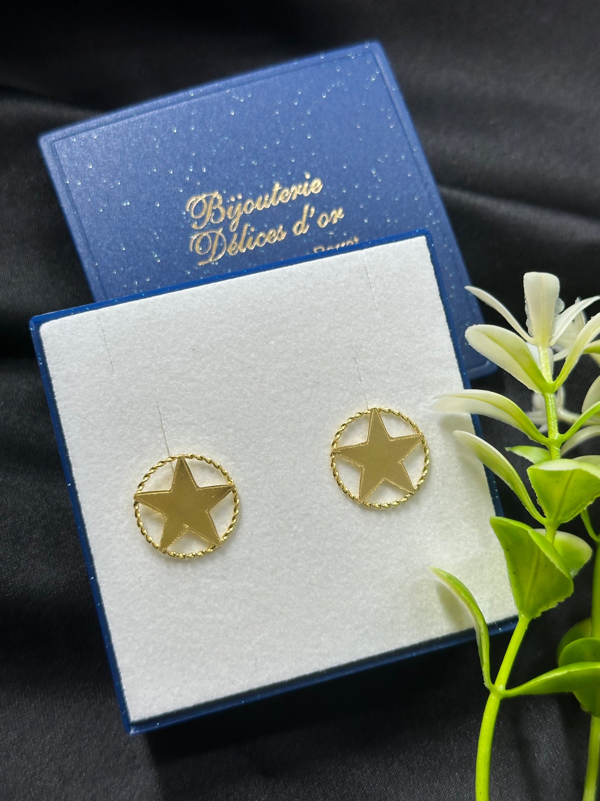 Boucle d'oreille Etoile