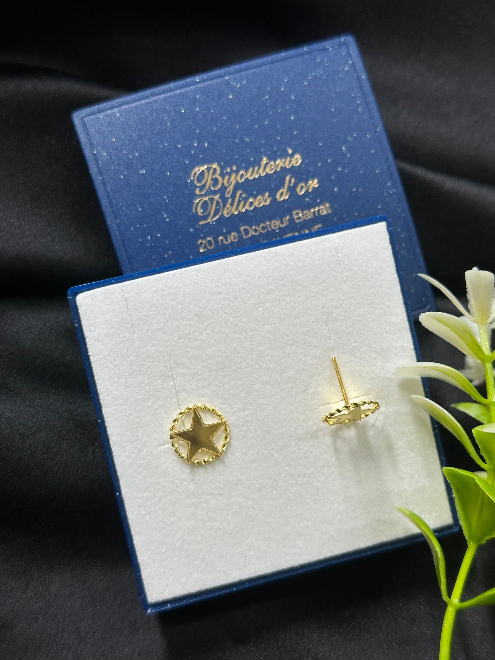 Boucle d'oreille Etoile