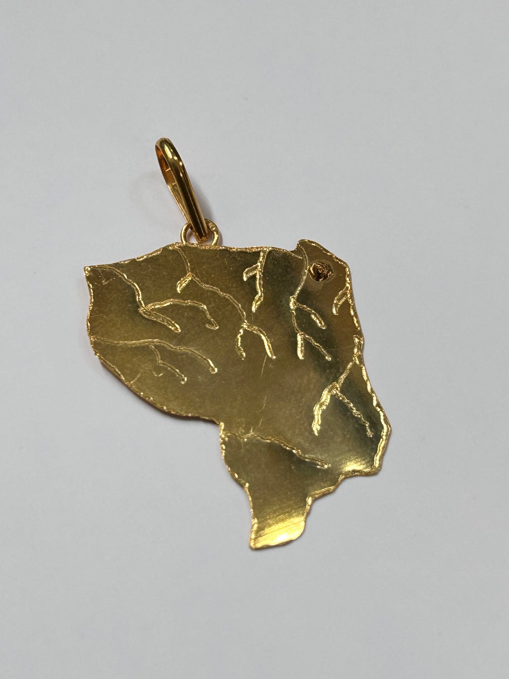 Pendentif carte de la Guyane sans le cercle