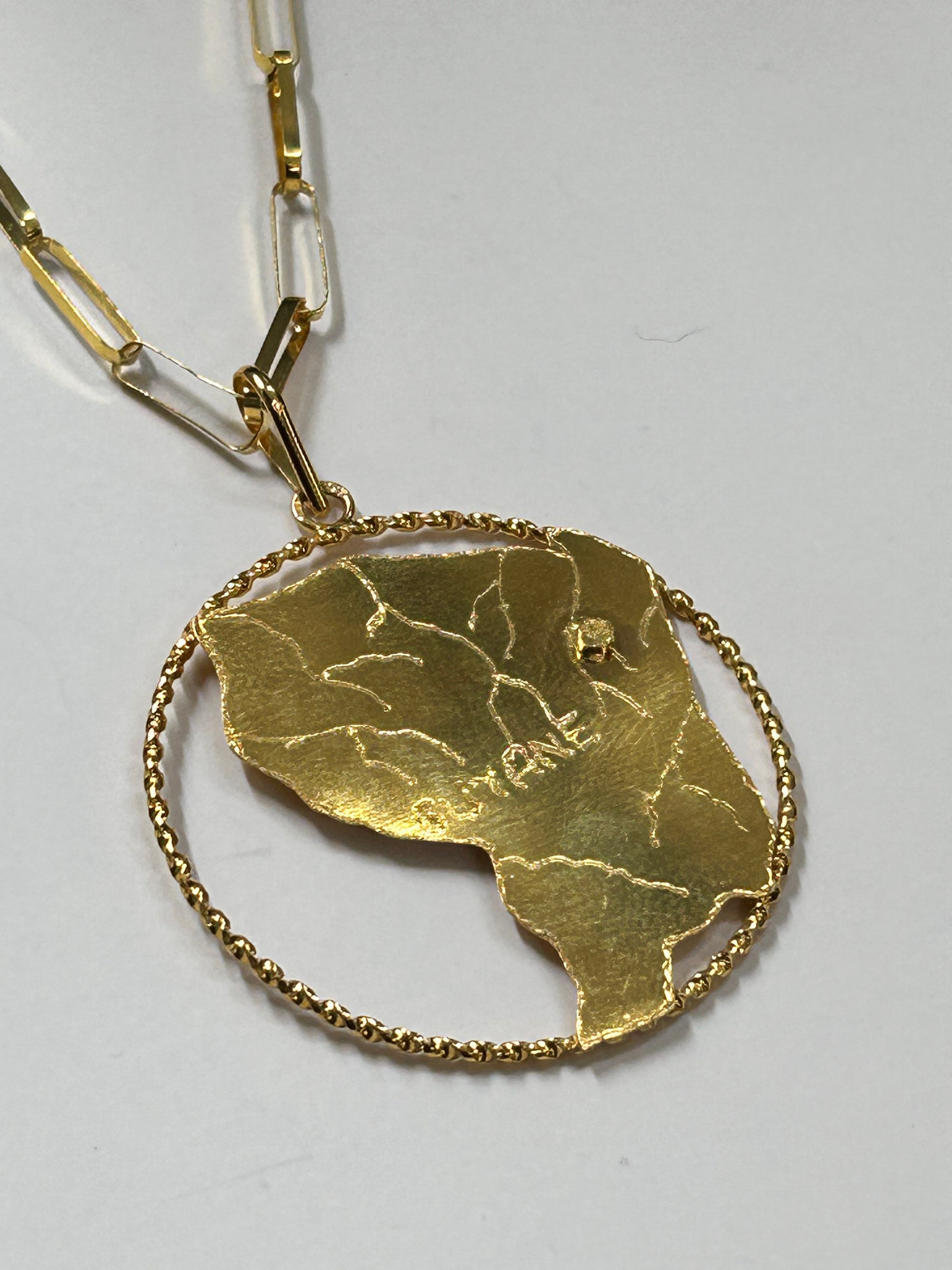 Pendentif carte de la Guyane avec le cercle